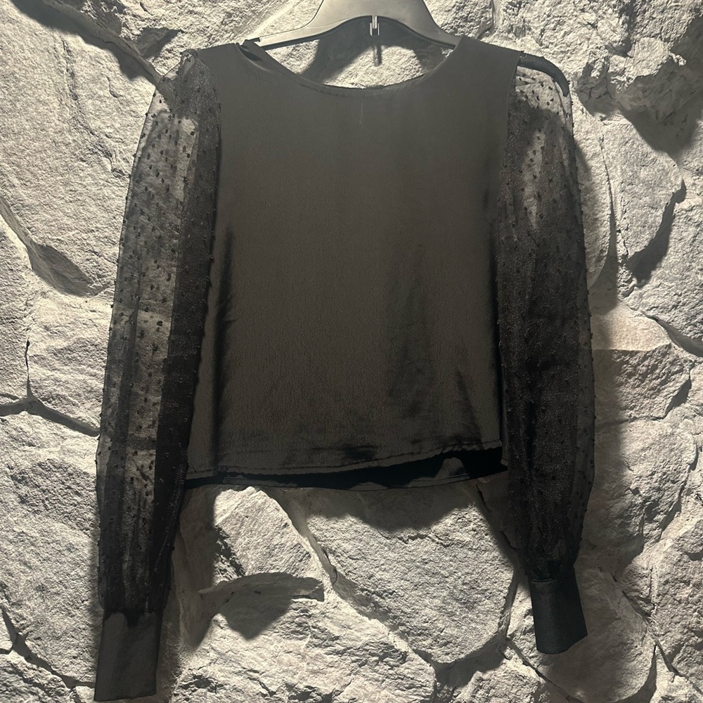 fab'rik Black Top with Sheer Sleeves